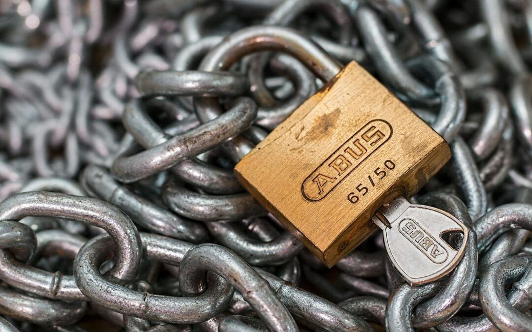 Mastering Data Ownership: How to Establish Accountability and Control in Your Organization