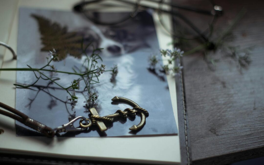 The Ultimate Guide to Data Ownership and Analytics: Best Practices for Success