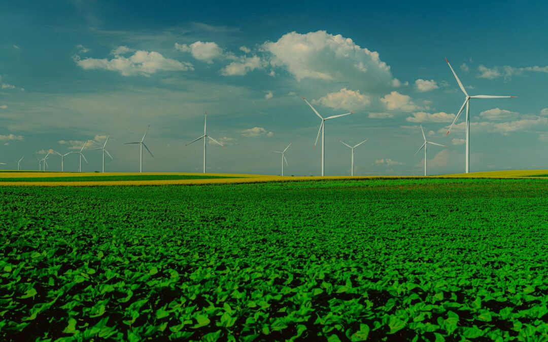 Tomorrow’s World Today: The Future of AI and Beyond